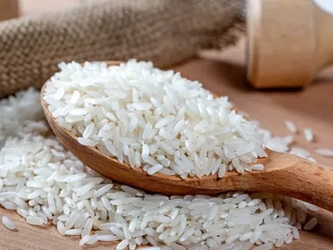 Giá lúa gạo hôm nay 2/7: Giá lúa biến động nhẹ