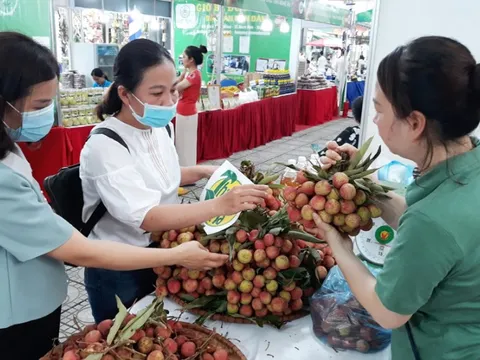 Hà Nội: 30 doanh nghiệp tham gia Tuần hàng trái cây, nông sản