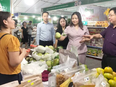 Hàng trăm gian hàng nông sản Hà Nội được giới thiệu ở tuần lễ sản phẩm OCOP