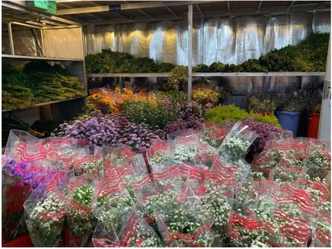 Hoa tươi Quỳnh Phương phân phối sỉ hoa tươi Đà Lạt tới 20 quốc gia