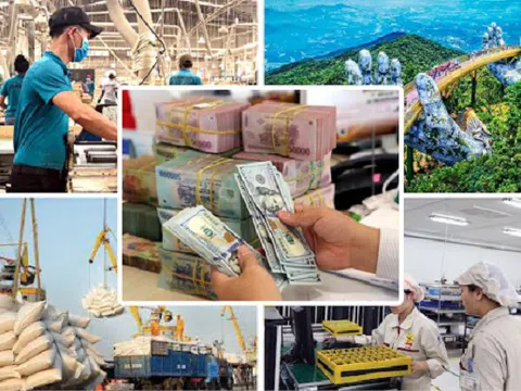 WB: Điều hành chính sách tiền tệ của Việt Nam khác thế giới, cần theo dõi chặt
