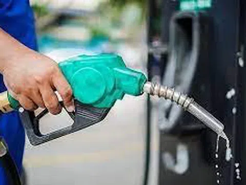 Giá xăng dầu hôm nay 13/8: Đồng loạt giảm
