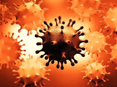 Nóng: Hai biến thể COVID-19 hợp nhất thành một virus lai đột biến nặng - Lo ngại về 1 giai đoạn mới của đại dịch