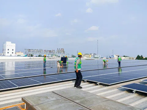 12 siêu thị MM Mega Market sắp lắp pin mặt trời mái nhà, tự chủ 30% nhu cầu sử dụng điện