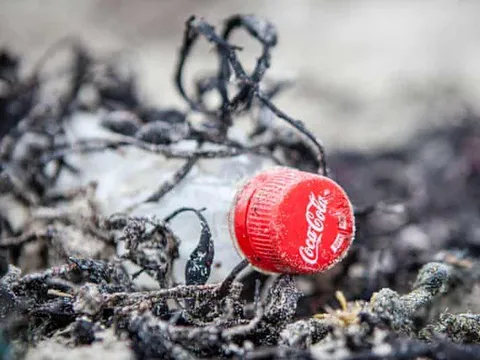 Coca-Cola, Pepsi và Nestlé đứng đầu thế giới về lượng rác thải nhựa