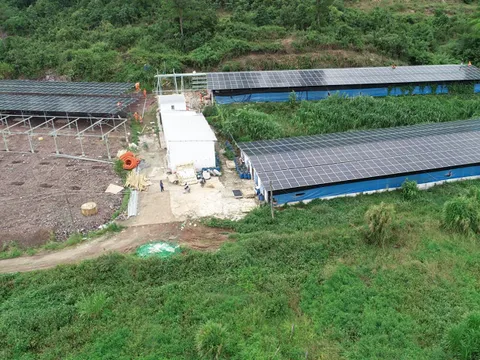 Điện mặt trời mái nhà ‘núp bóng’ dự án nông nghiệp: EVN nói gì?