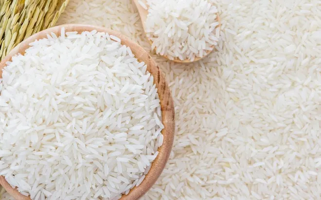 Giá lúa gạo hôm nay 27/7: Giá lúa đồng loạt giảm mạnh
