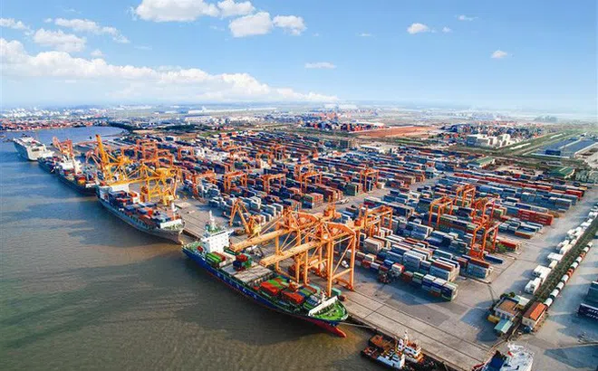 Phí cảng biển - doanh nghiệp đề xuất giảm gần 95%